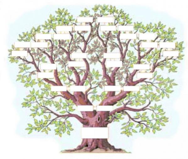 Genealogie arbre redimensionne pour mon site